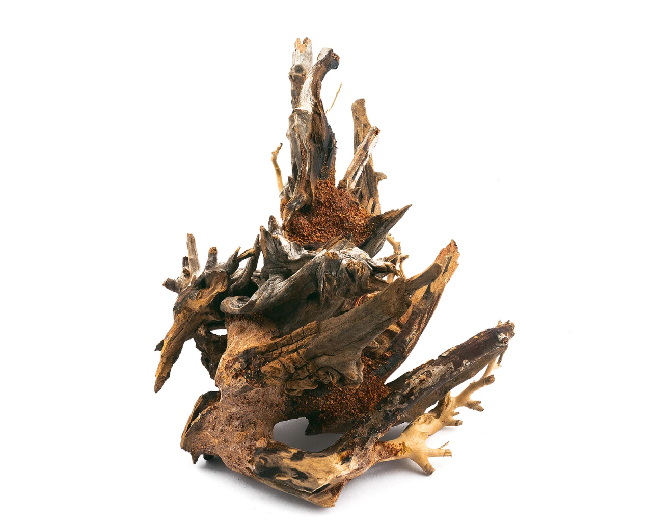 Octopus Wood For Aquascapes 2 Octopus Wood For Aquascapes – Bild 2