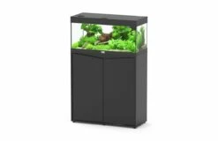 Aquatlantis - Prestige 80 - Aquarium-Kombination Mit Unterschrank