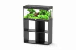Aquatlantis - Prestige 80 - Aquarium-Kombination Mit Stand Regal