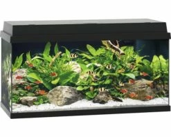 Juwel - Primo 110 Black - Complete Aquarium Without Base Cabinet