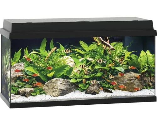 Juwel - Primo 110 Black - Complete Aquarium Without Base Cabinet 1 Juwel - Primo 110 Black - Complete Aquarium Without Base Cabinet