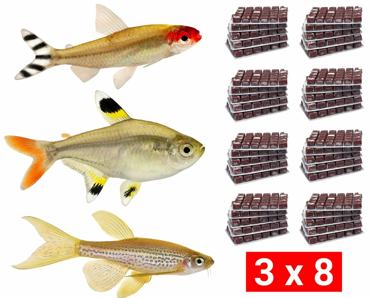 Frozen Food Bundle For Tetras And Danios - 24 Pcs. 1 Frozen Food Bundle For Tetras And Danios - 24 Pcs.