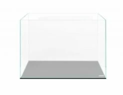 Collar AGLASS Classic