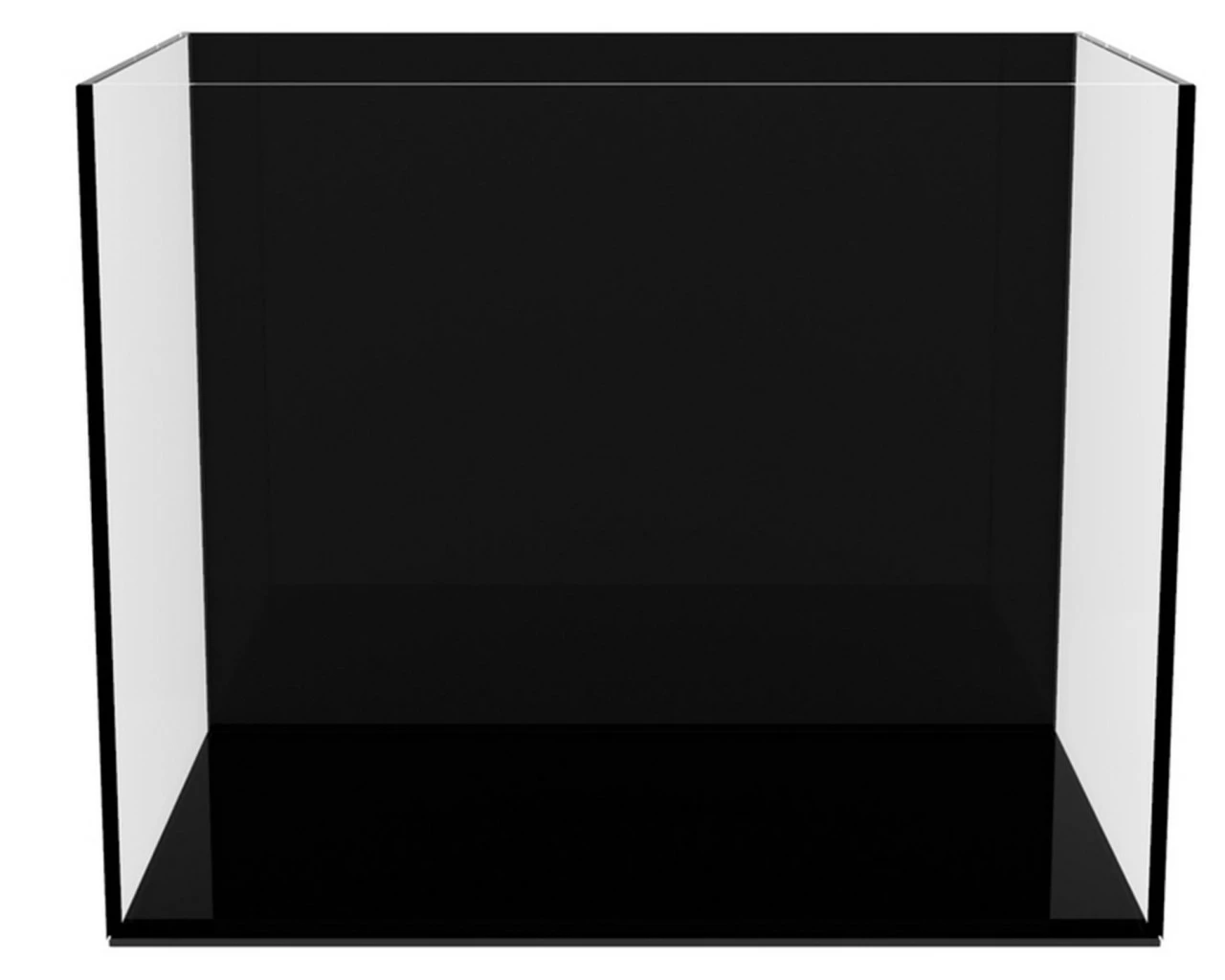 Collar AGLASS Black 1 Collar AGLASS Black