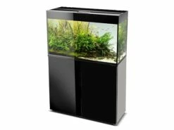 Aquael - Aquarienunterschrank GLOSSY 11 Aquael - Aquarienunterschrank GLOSSY -Aquael Shop aquael aquarienunterschrank glossy 80x35x73cm schwarz 1 1280x1280