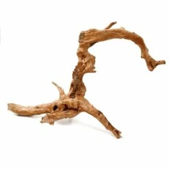 Spiderwood - Size S - L 5 Spiderwood - Size S - L -Aquael Shop aquarienwurzel spiderwood 20 30 cm zum aufbind 1NfMNmeAFMpB3f 1280x1280