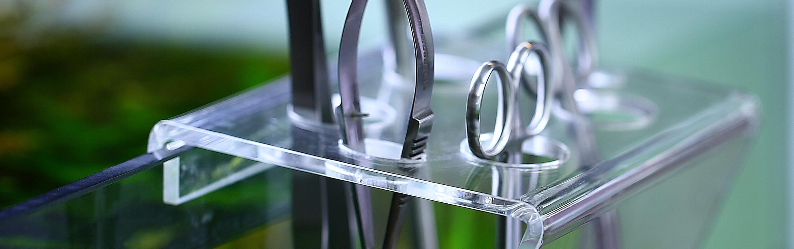 Aquael Shop -Aquael Shop aquascaping layout maintenance t scaled