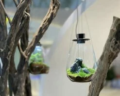 BioBottle - Water Drop Incl. LED -Aquael Shop aufha ngerwald 1280x1280