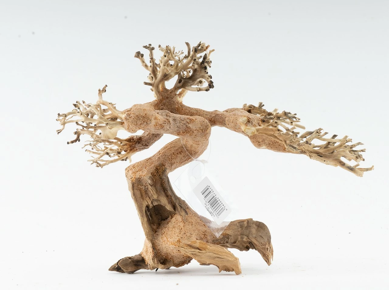 Forest Bonsai - Vers. Sizes 2 Forest Bonsai - Vers. Sizes – Bild 2