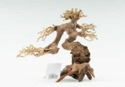 Claw Bonsai - Vers. Sizes -Aquael Shop claw bonsai 3Ug98eOoSzzTVc 1280x1280