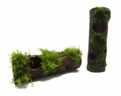 Craywood With Moss - Hiding Place For Crabs