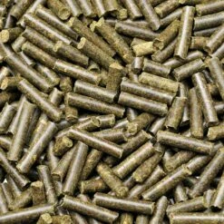 Shrimp King - Protein 7 Shrimp King - Protein -Aquael Shop final 6072 PA I1 PIM FRO ShrimpKing ProteinSmTrzlgJjbZGn 1280x1280