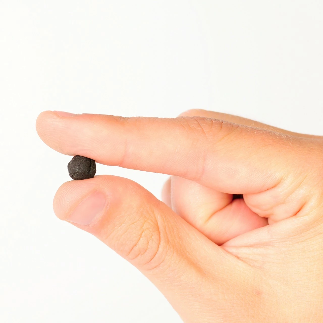 Shrimp King - Yummy Gum 4 Shrimp King - Yummy Gum – Bild 4