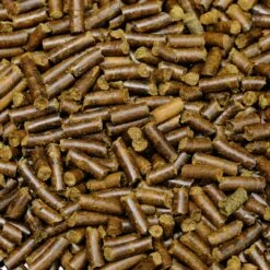 Shrimp King - Snail Stixx -Aquael Shop final 6122 PA I1 PIM FRO ShrimpKing SnailStixx 0PkeNNXizAZkC4 1280x1280