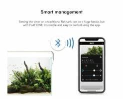 ONF - FLAT One Standard 5 ONF - FLAT One Standard -Aquael Shop flatone 60 appnRTKBC3drrs4q 1280x1280