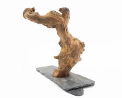 Congo Tree On Slate - Vers. Sizes