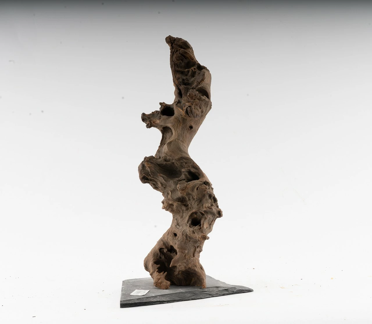 Congo Tree On Slate - Vers. Sizes 3 Congo Tree On Slate - Vers. Sizes – Bild 3