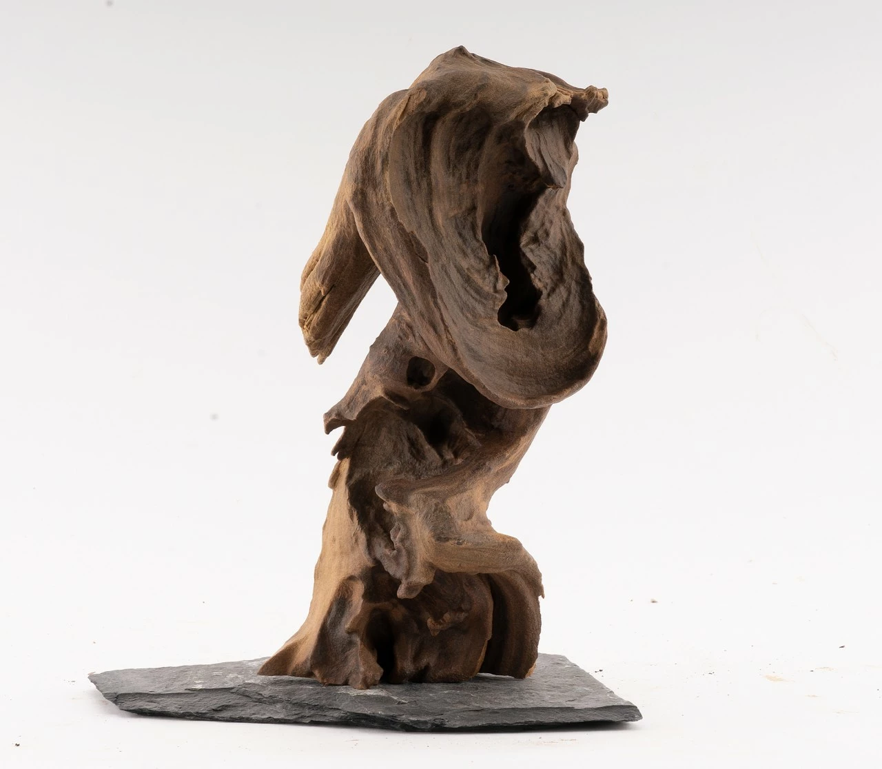 Congo Tree On Slate - Vers. Sizes 2 Congo Tree On Slate - Vers. Sizes – Bild 2