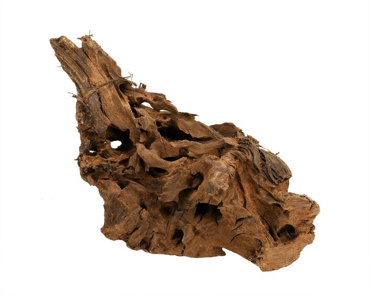 Mangrove Root Jumbo & Medium 3 Mangrove Root Jumbo & Medium – Bild 3