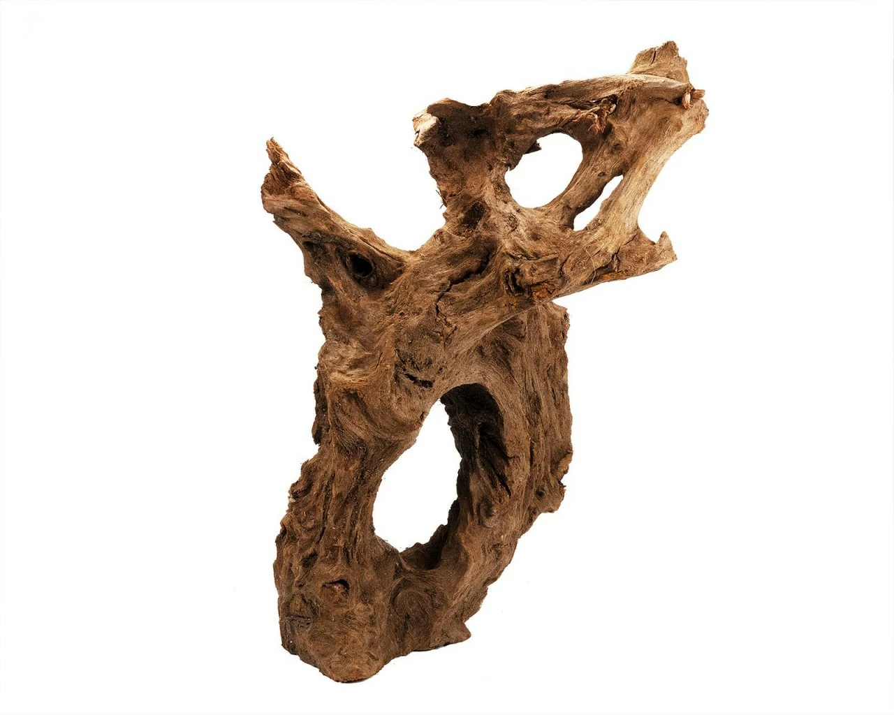 Mangrove Root Jumbo & Medium 2 Mangrove Root Jumbo & Medium – Bild 2