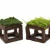 Mooscube XXL With Moss - Aquarium Deco
