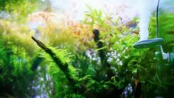 TWINSTAR - Nano -Aquael Shop nano main01f9abMJrC4aU2F 1280x1280