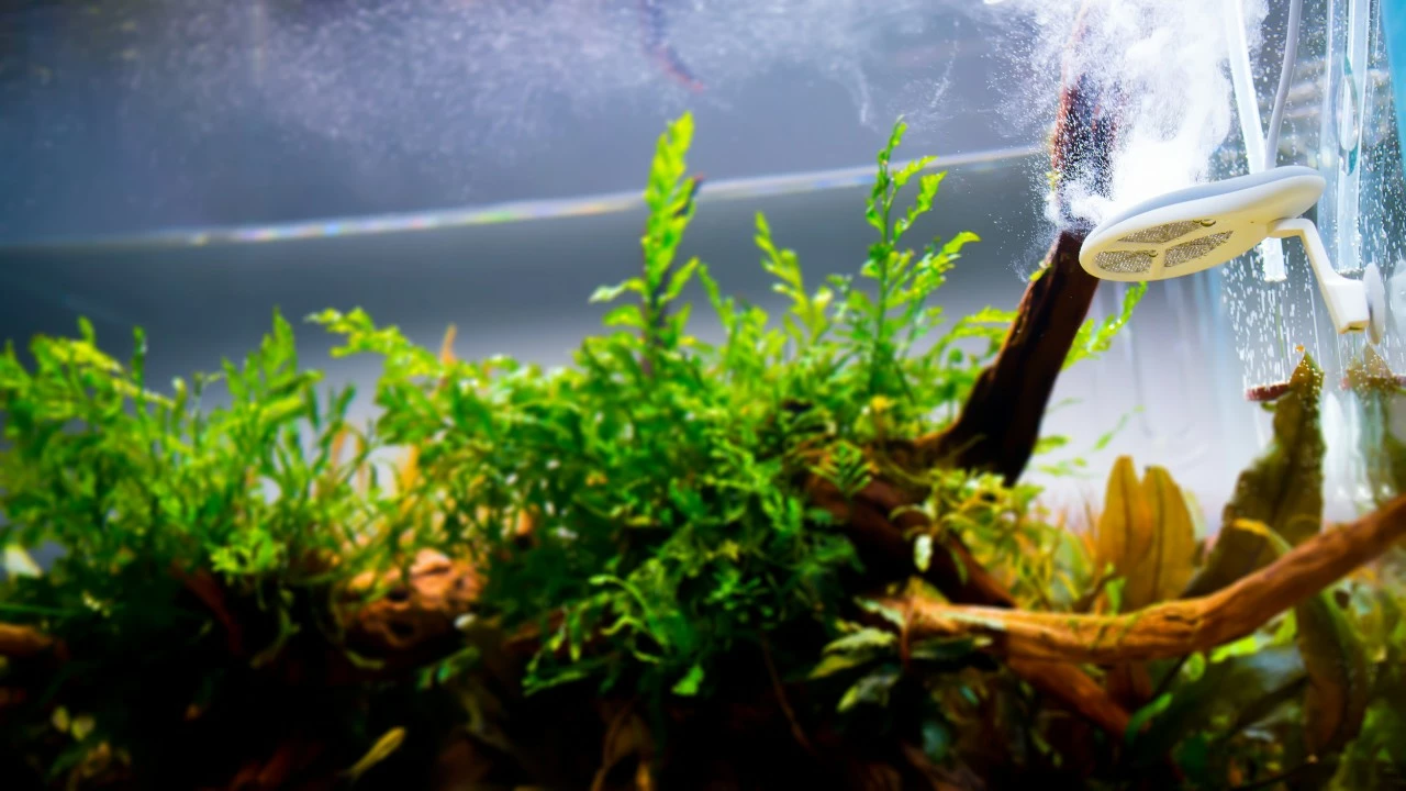 TWINSTAR - Nano Plus 4 TWINSTAR - Nano Plus – Bild 4