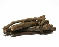 Cancer Lover Set - No. 4 -Aquael Shop nussbaumaeste 7st 10cmnlKX4JzP8gs66 1280x1280