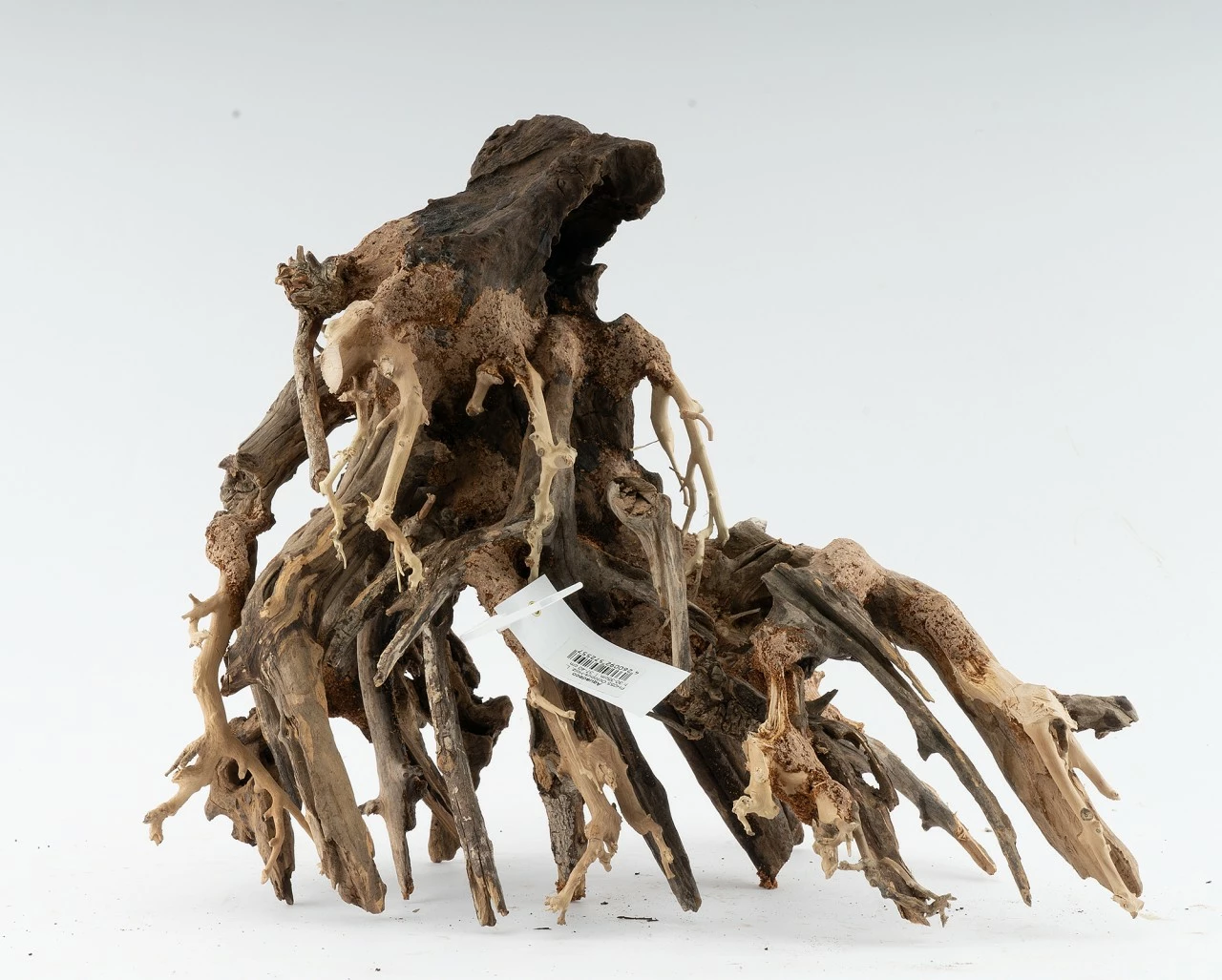 Octopus Wood For Aquascapes 1 Octopus Wood For Aquascapes