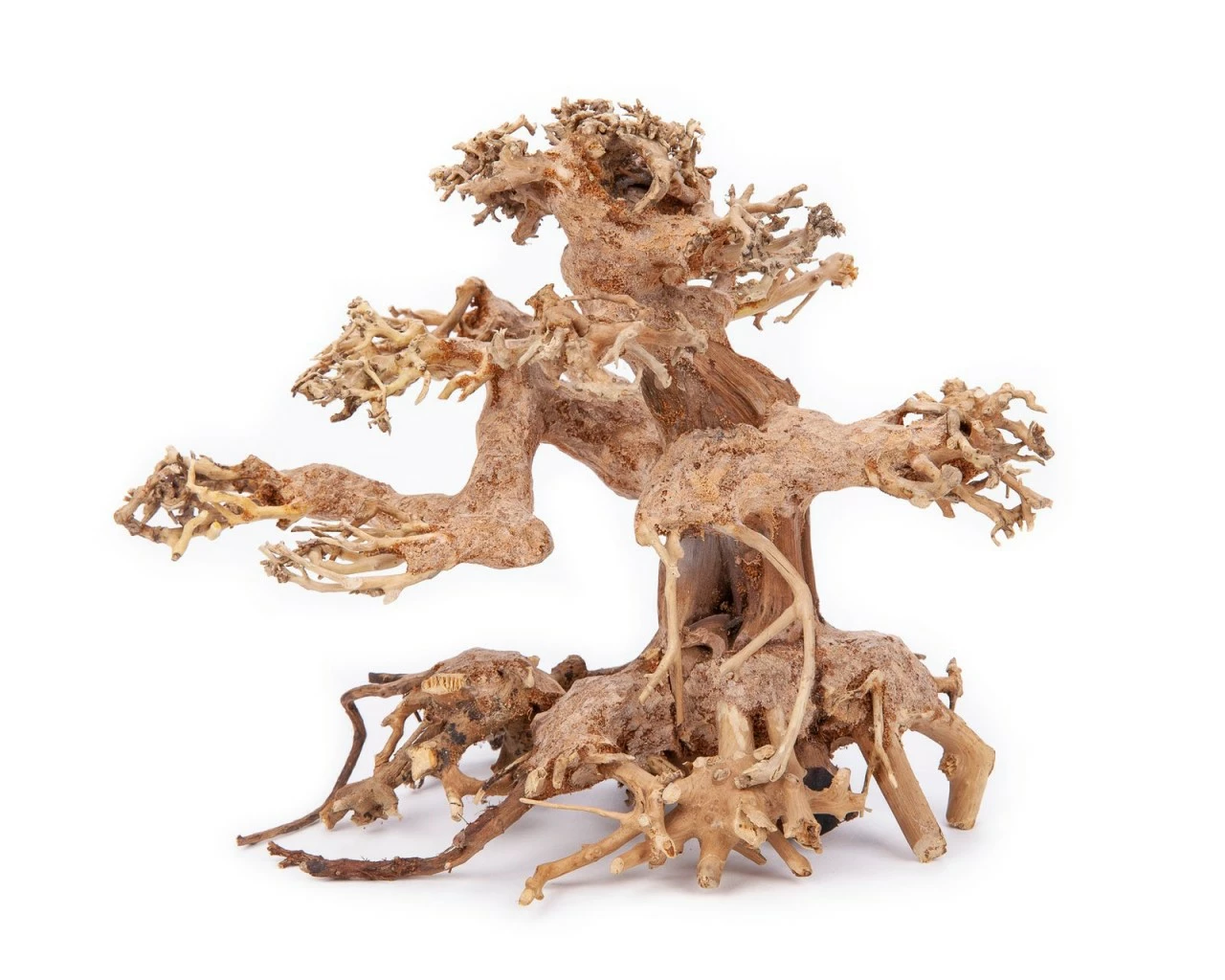 Aqua Bonsai - Aquarium Decoration 1 Aqua Bonsai - Aquarium Decoration