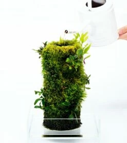 DOOA - Terra Base -Aquael Shop s3UUiBfGEHTXsPa 1280x1280