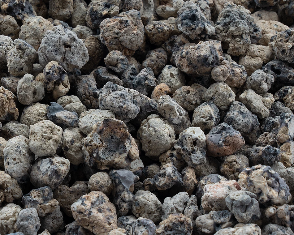 Special Substrate - 10L 2 Special Substrate - 10L – Bild 2