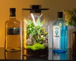 BioBottle - Straight Incl. LED