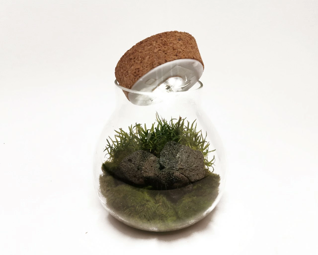 WabiKusa Biosphere Incl. LED 1 WabiKusa Biosphere Incl. LED