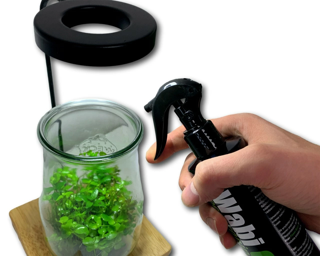 Greenscaping - Wabikusa CareSet Complete+ 2 Greenscaping - Wabikusa CareSet Complete+ – Bild 2