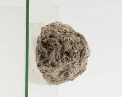 Wall Stone - Vers. Sizes