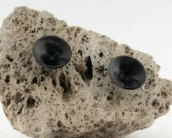 Wall Stone - Vers. Sizes -Aquael Shop wandstein3CWWbGUcuyOUws 1280x1280