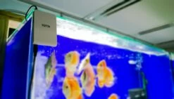 TWINSTAR - Yotta -Aquael Shop yotta 01Rr17pJSNHIKwB 1280x1280